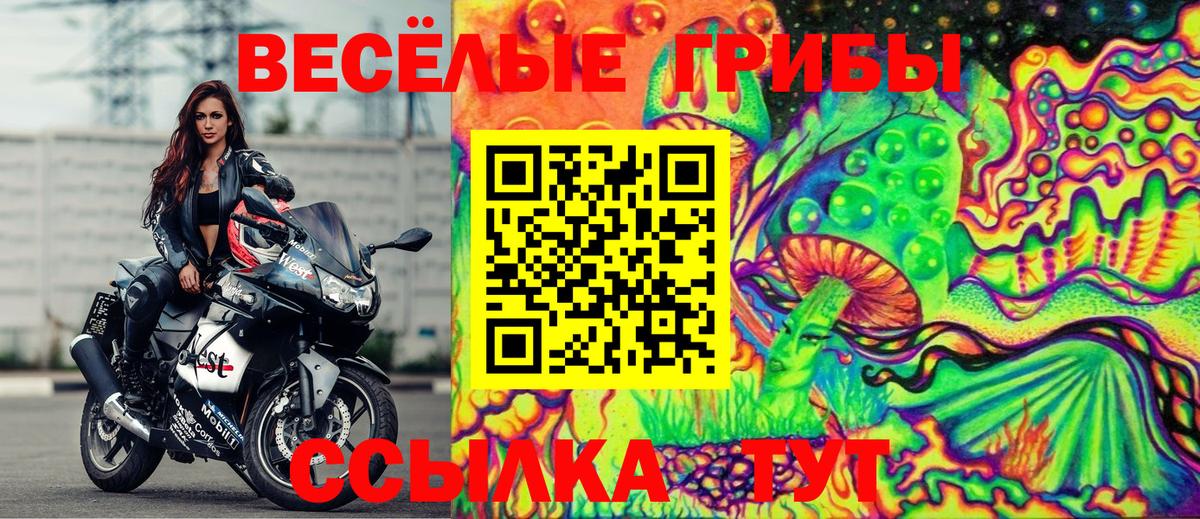 Псилоцибиновые грибы прущие грибы Новоалександровск