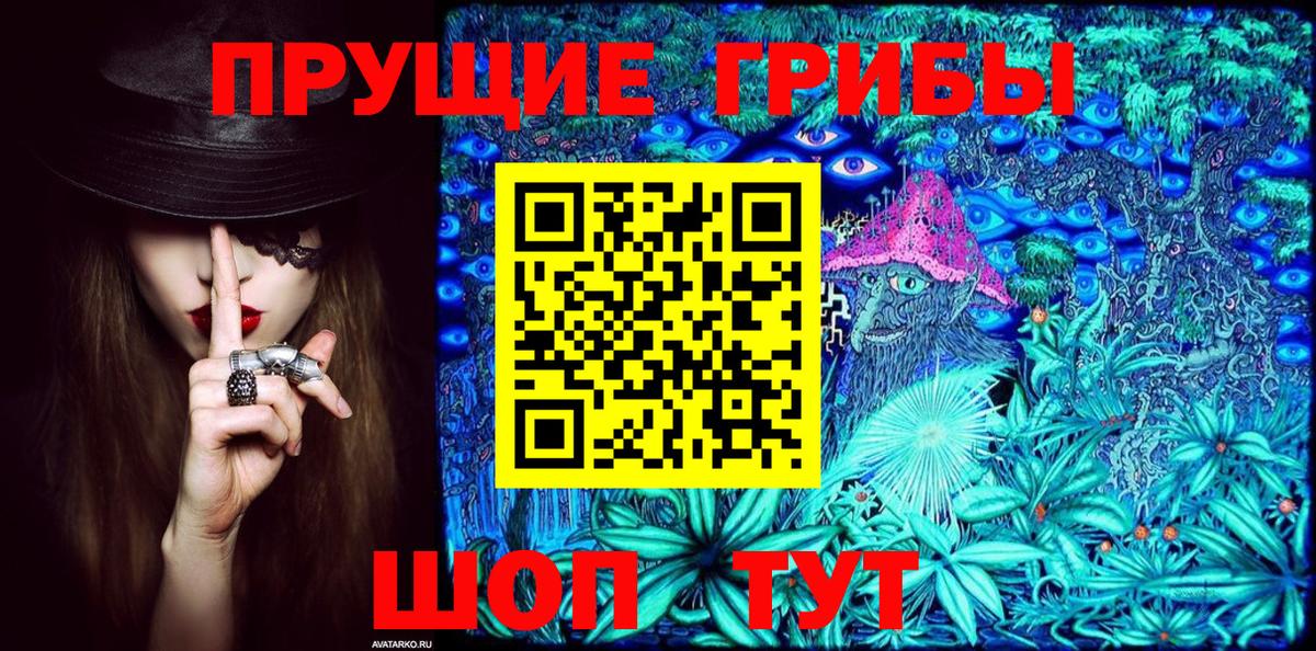 Псилоцибиновые грибы Psilocybine cubensis  Вход с VPN  наркотики  Новоалександровск 